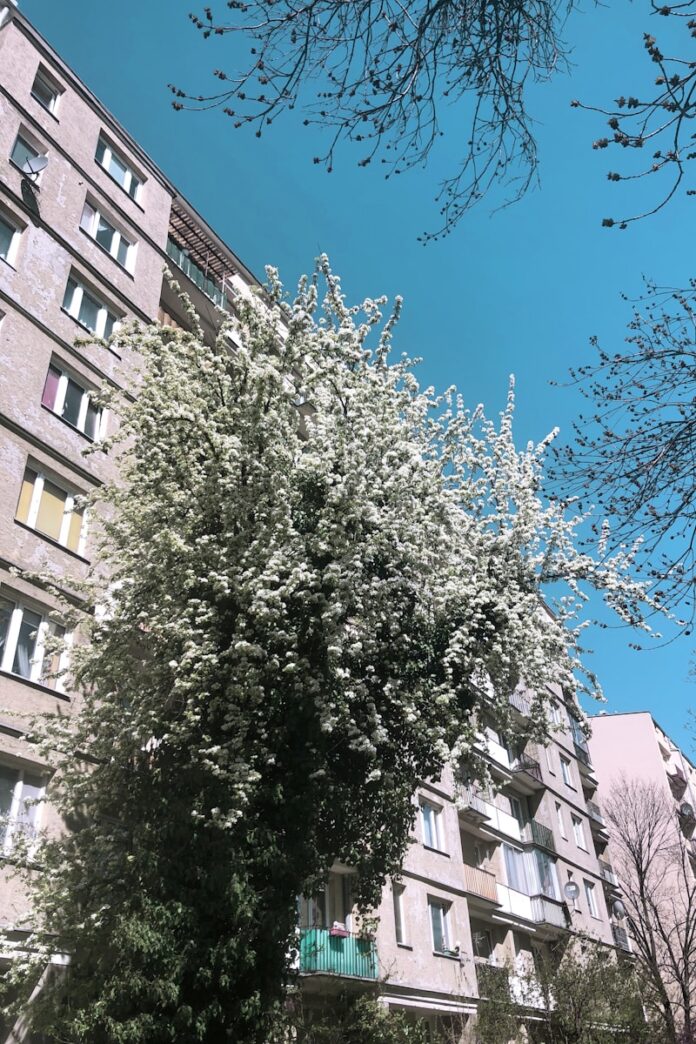 Jak zaaranżować przestrzeń w małym ogrodzie?